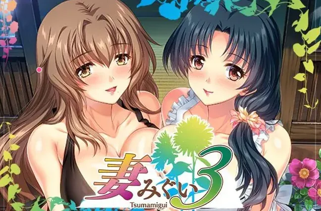 妻中蜜3